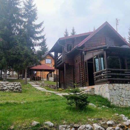 Brvnare Krstigora Villa Zaovine Bagian luar foto