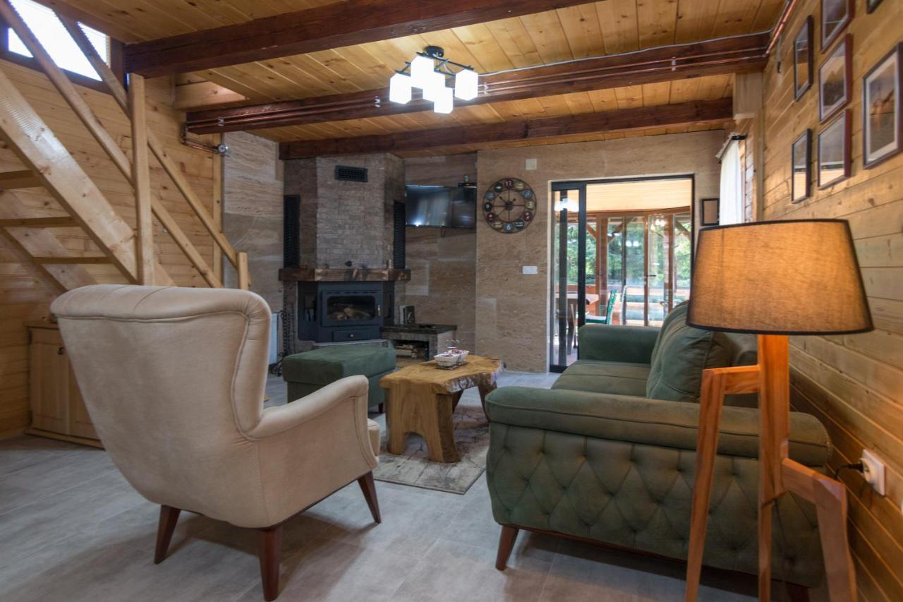 Brvnare Krstigora Villa Zaovine Bagian luar foto