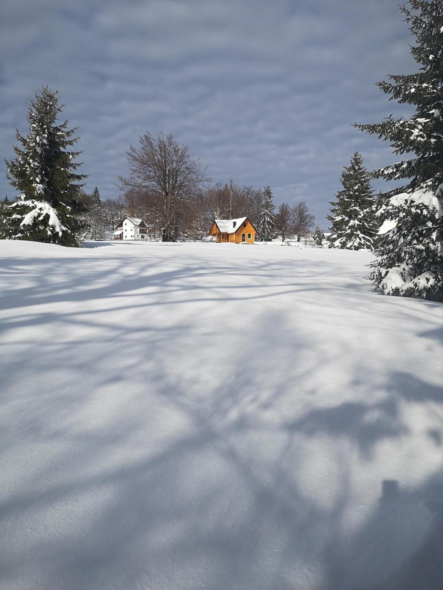 Brvnare Krstigora Villa Zaovine Ruang foto