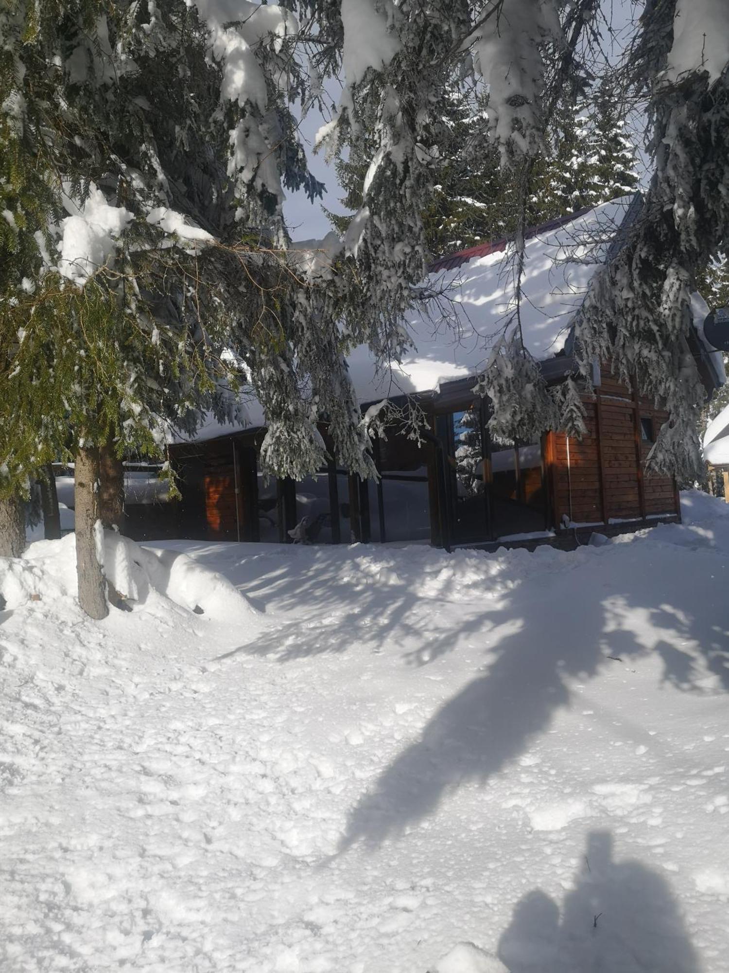 Brvnare Krstigora Villa Zaovine Ruang foto