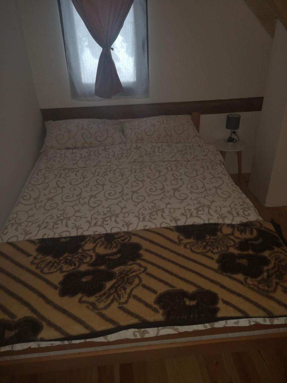 Brvnare Krstigora Villa Zaovine Bagian luar foto