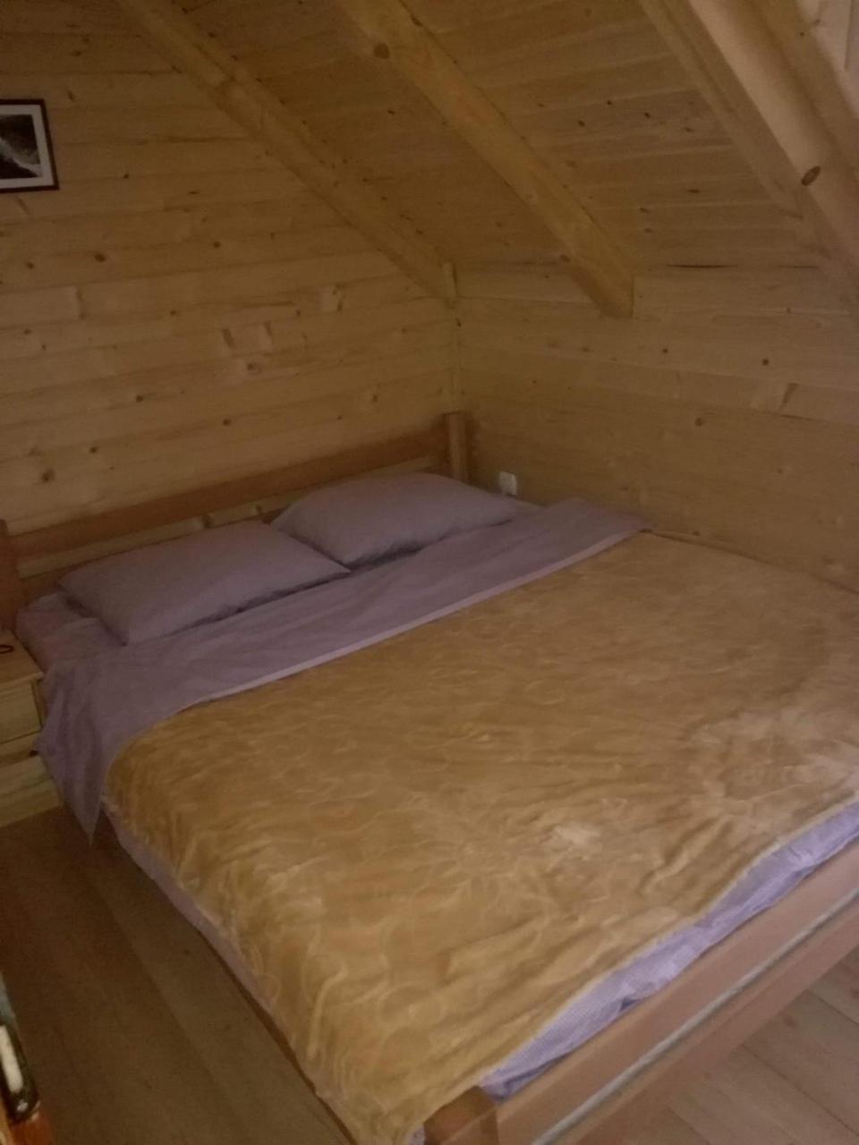 Brvnare Krstigora Villa Zaovine Bagian luar foto