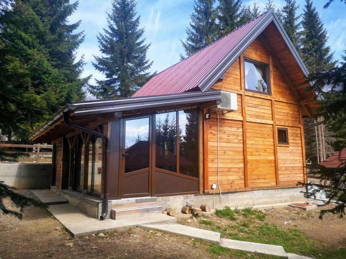 Brvnare Krstigora Villa Zaovine Bagian luar foto