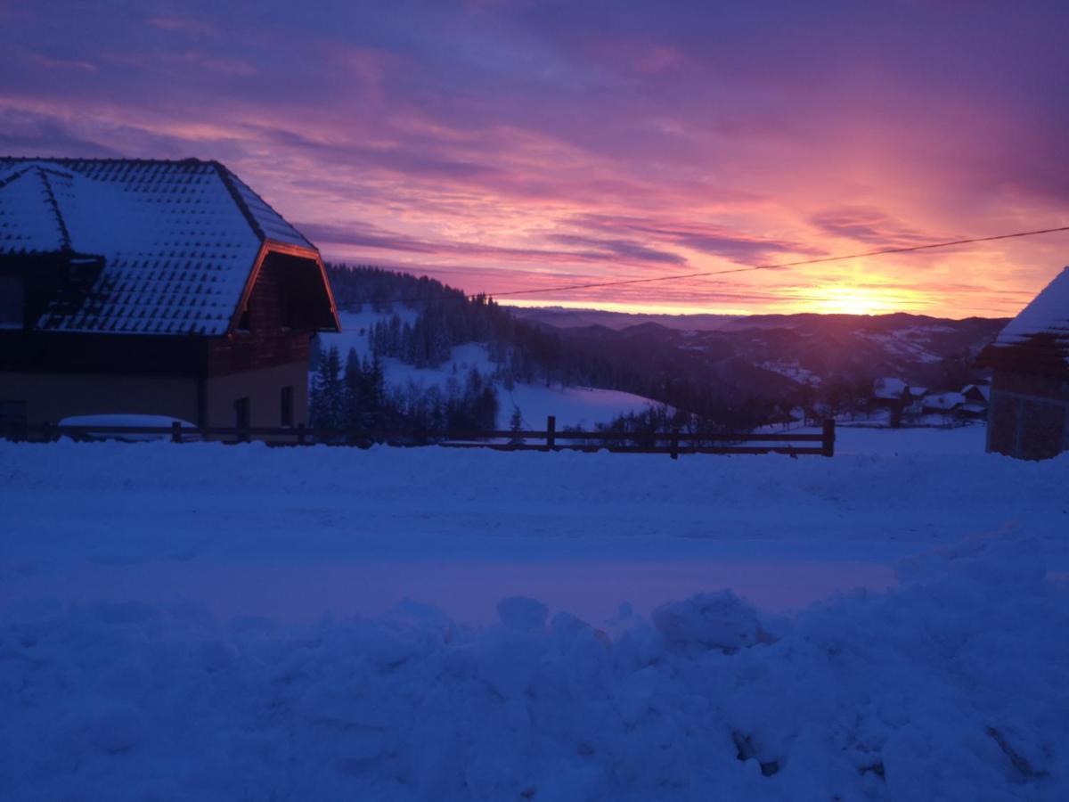 Brvnare Krstigora Villa Zaovine Bagian luar foto